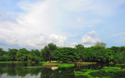18. Quezon City Wildlife Park