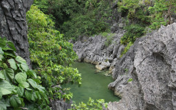 Matukad Island