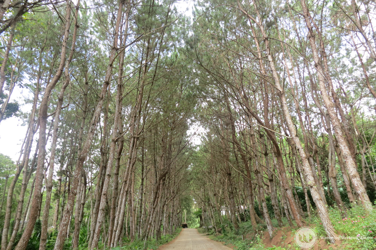 #4. Eden Resort