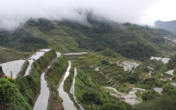 35. Ifugao