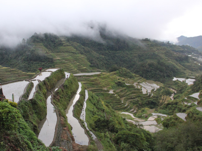 43. Banaue & Sagada