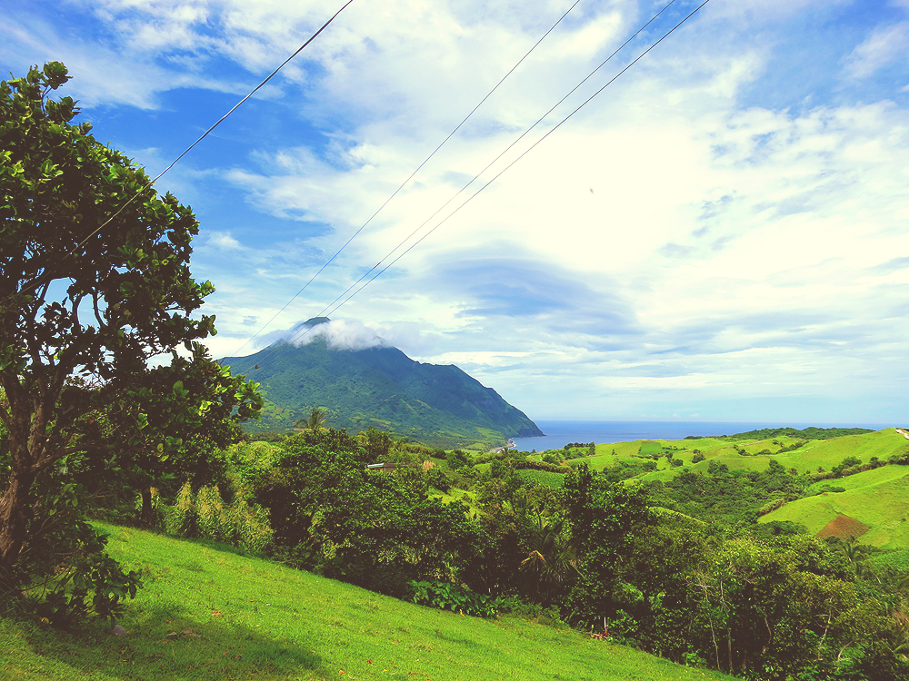 standing in a green hill