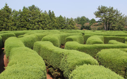 Gimnyeong Maze Park