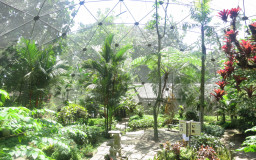 Malagos Garden Resort