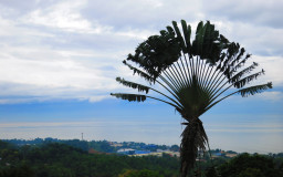 Malasag Eco-Park Village