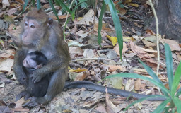 St. Paul Subterranean River National Park