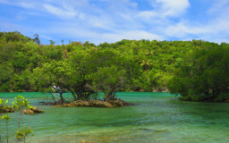 Danjugan Island