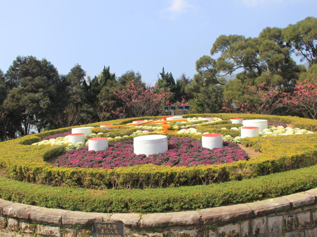 Flower Clock