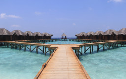 59. Maldives