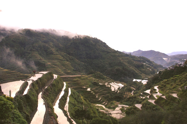 Banaue Rice Terraces