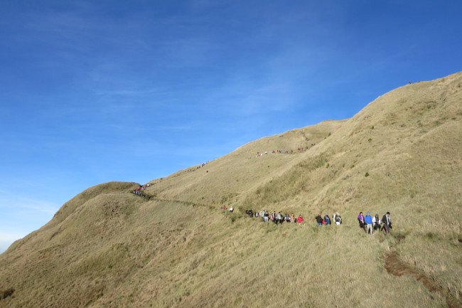 Ambangeg Trail of Mt. Pulag