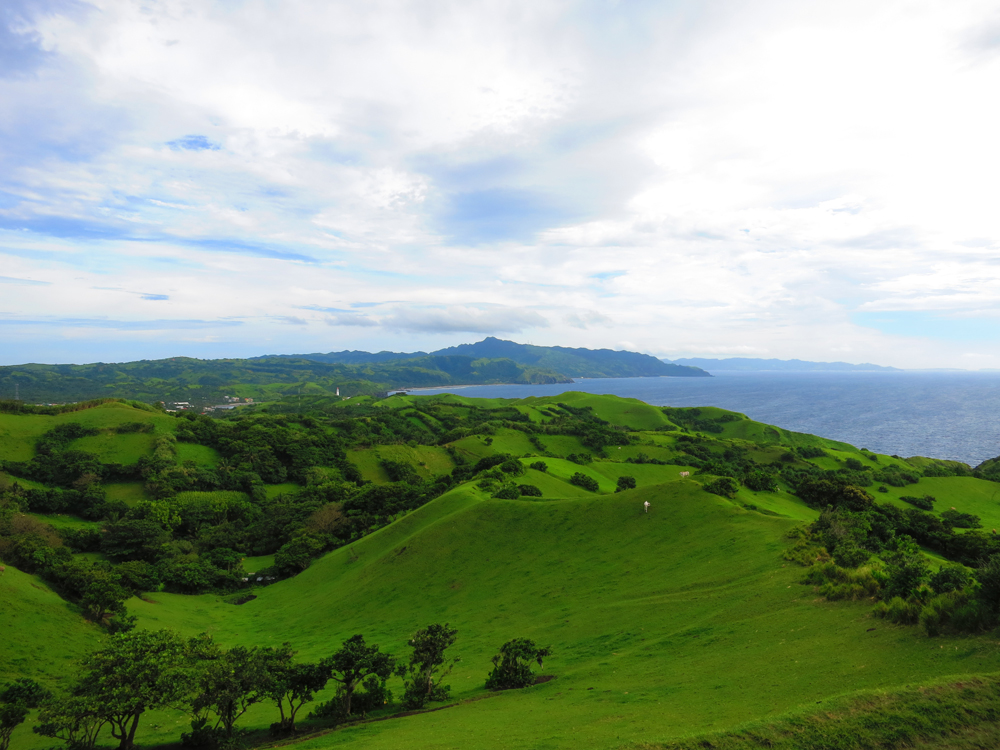 Hills are alive