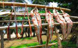 Diura Fishing Village