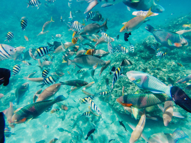139. Summer Cruise